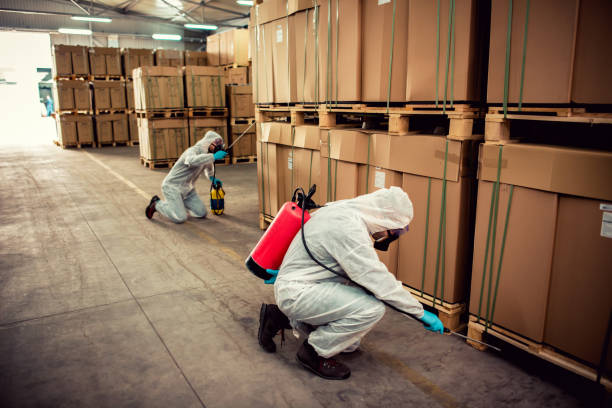Professional Pest Control in Huachuca City, AZ